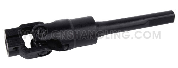 ASN-P12